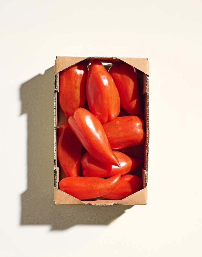 San Arrentino Plum Tomato Box 1.5kg