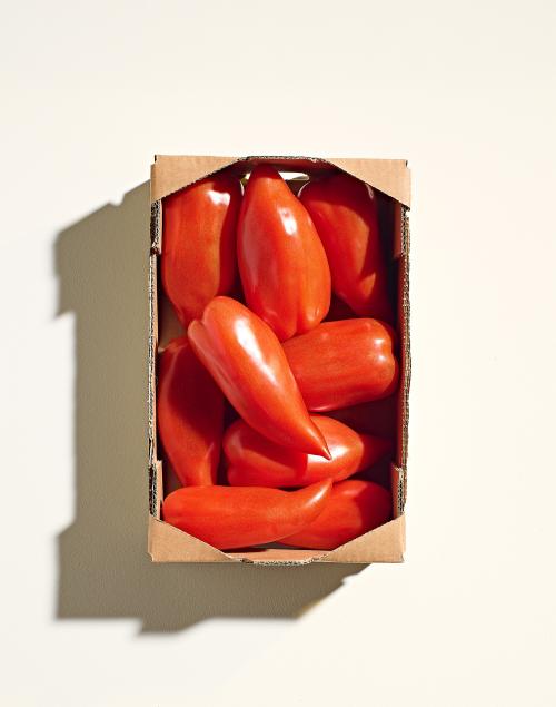 San Arrentino Plum Tomato Box 1.5kg
