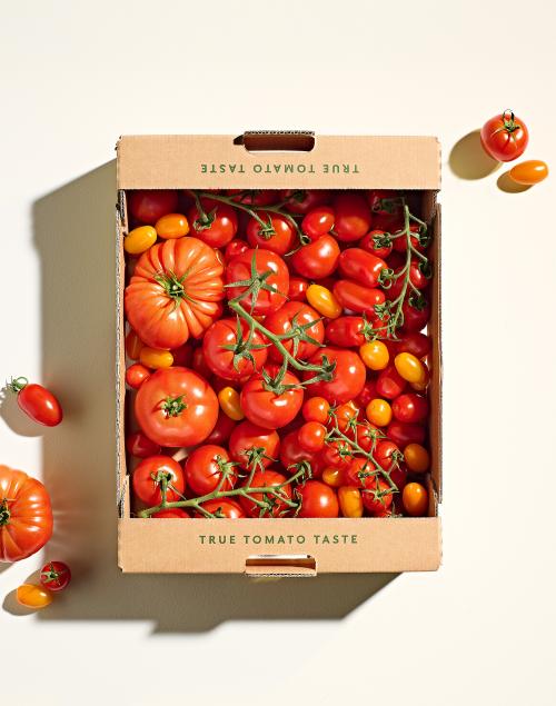 Family Box Tomatoes