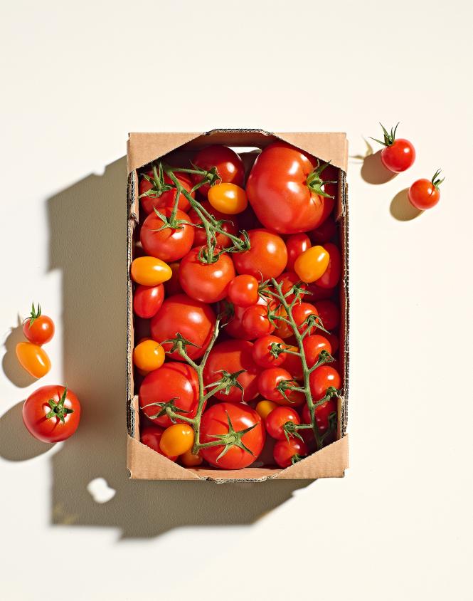 Family Box Tomatoes