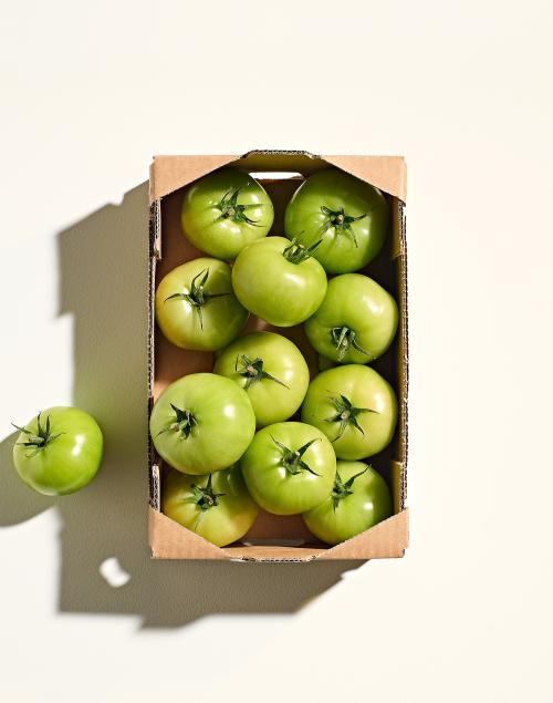 Green Chutney Tomatoes 1.5kg