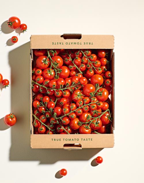 Winter Tomato Selection Box 3kg