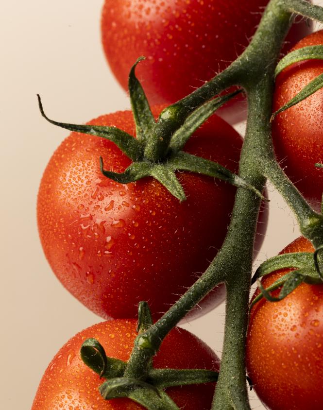 Cherry Vine Tomatoes 1kg